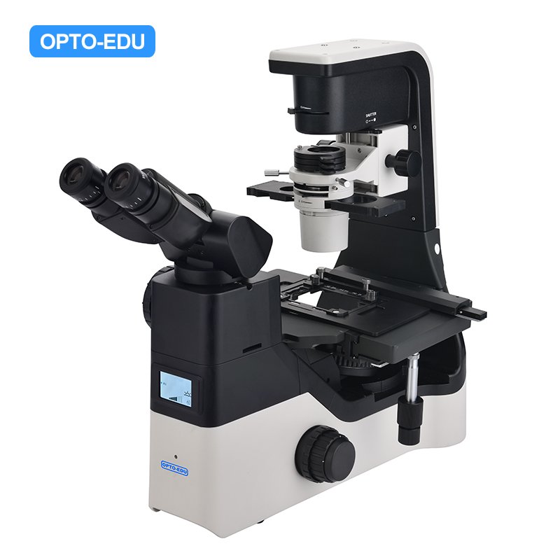 Inverted Biological Phase Contrast Microscope, Info LCD Model : A14.1065