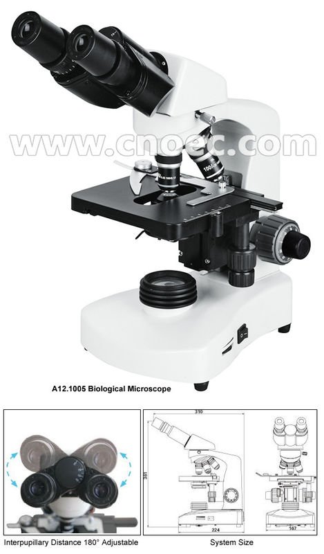 Compound Optical Microscope Model : A12.1005