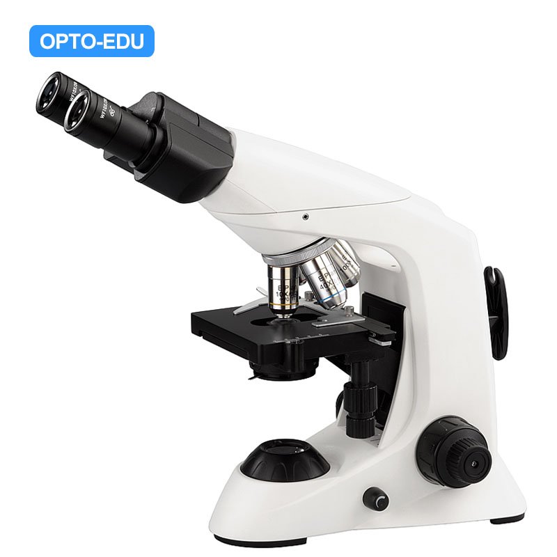 Biological Microscope Model :  A12.6603.B