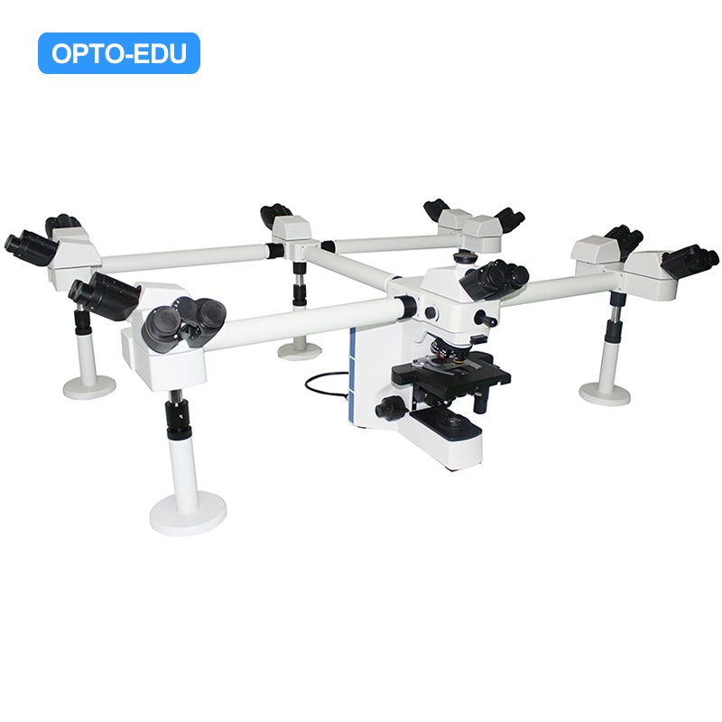 Multi-Viewing Microscope, 10 People Model : A17.0940
