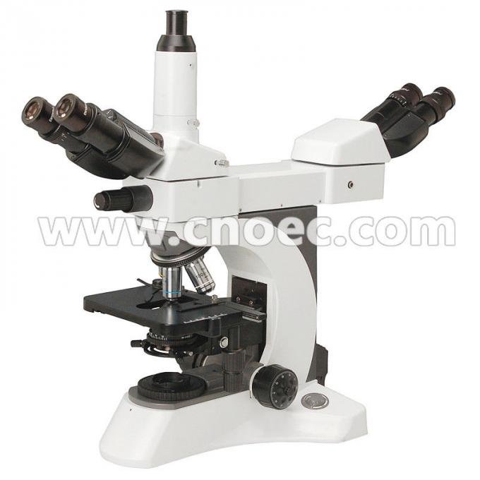 Multi Head Infinity Plan Multi Viewing Microscope With Kohler Illumination 2 Position , Model :A17.1025