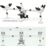Multi-Viewing Microscope, 5 Position Model : A17.1026C
