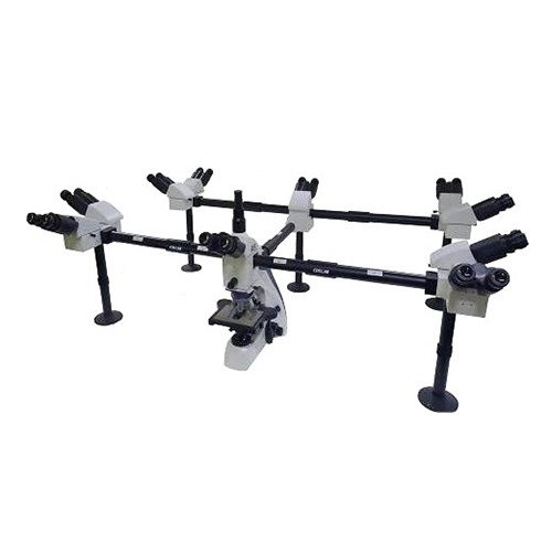 Multi-Viewing Microscope, 10 People Model : A17.1113