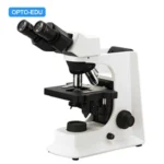 Laboratory Biological Microscope Model : A12.2601-B
